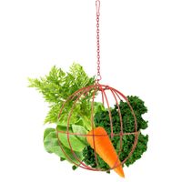 Flamingo Bola para comida Sola Redondo Rojo