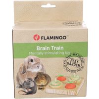 Flamingo Speelgoed Brain train Bumble Bruin