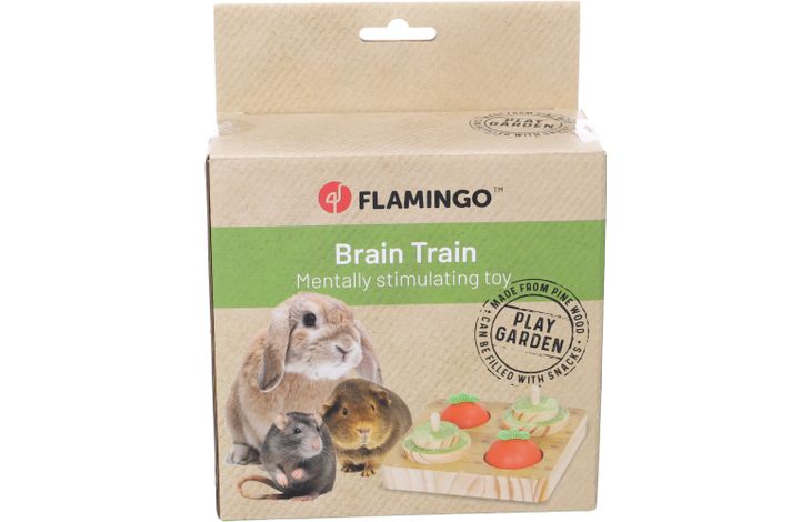 Flamingo Speelgoed Brain train Bumble Bruin