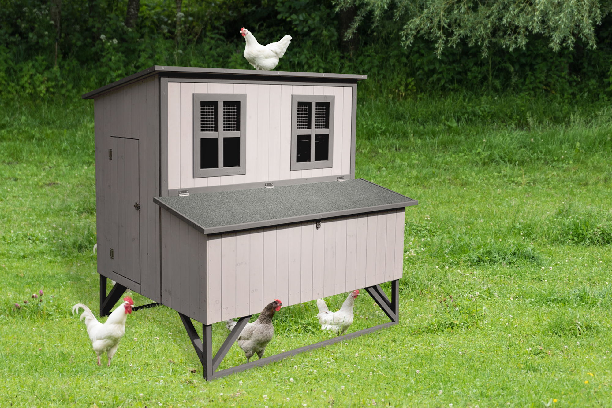 Flamingo Casetta per galline Cosmo Cottage Grigio