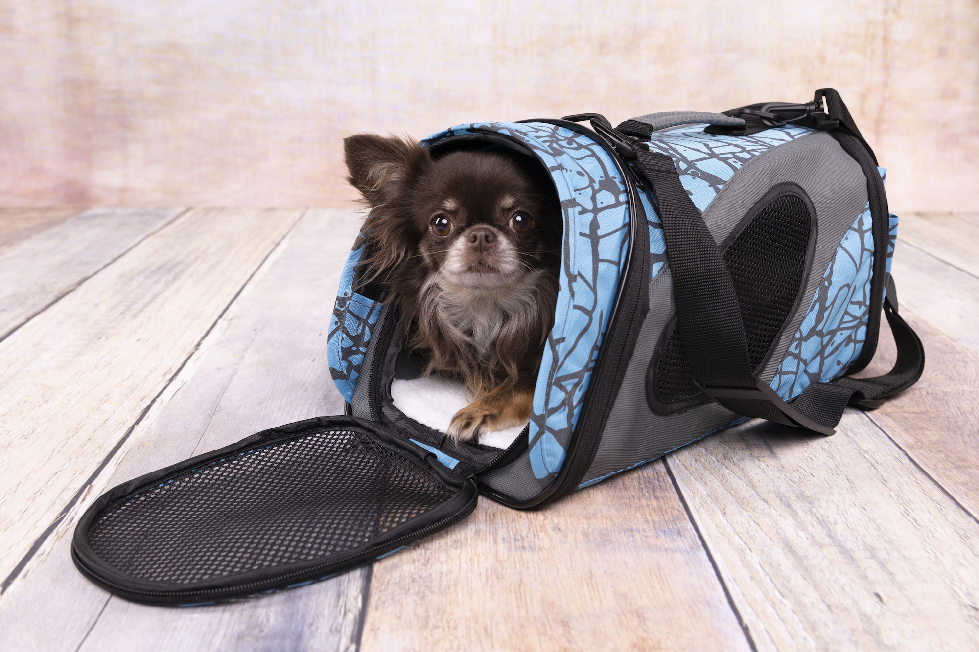 Flamingo Carrying bag Finchley test Blue