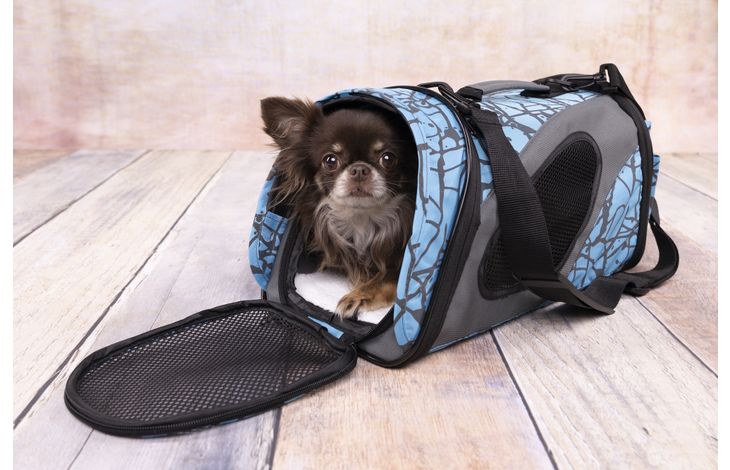 Flamingo Carrying bag Finchley test Blue