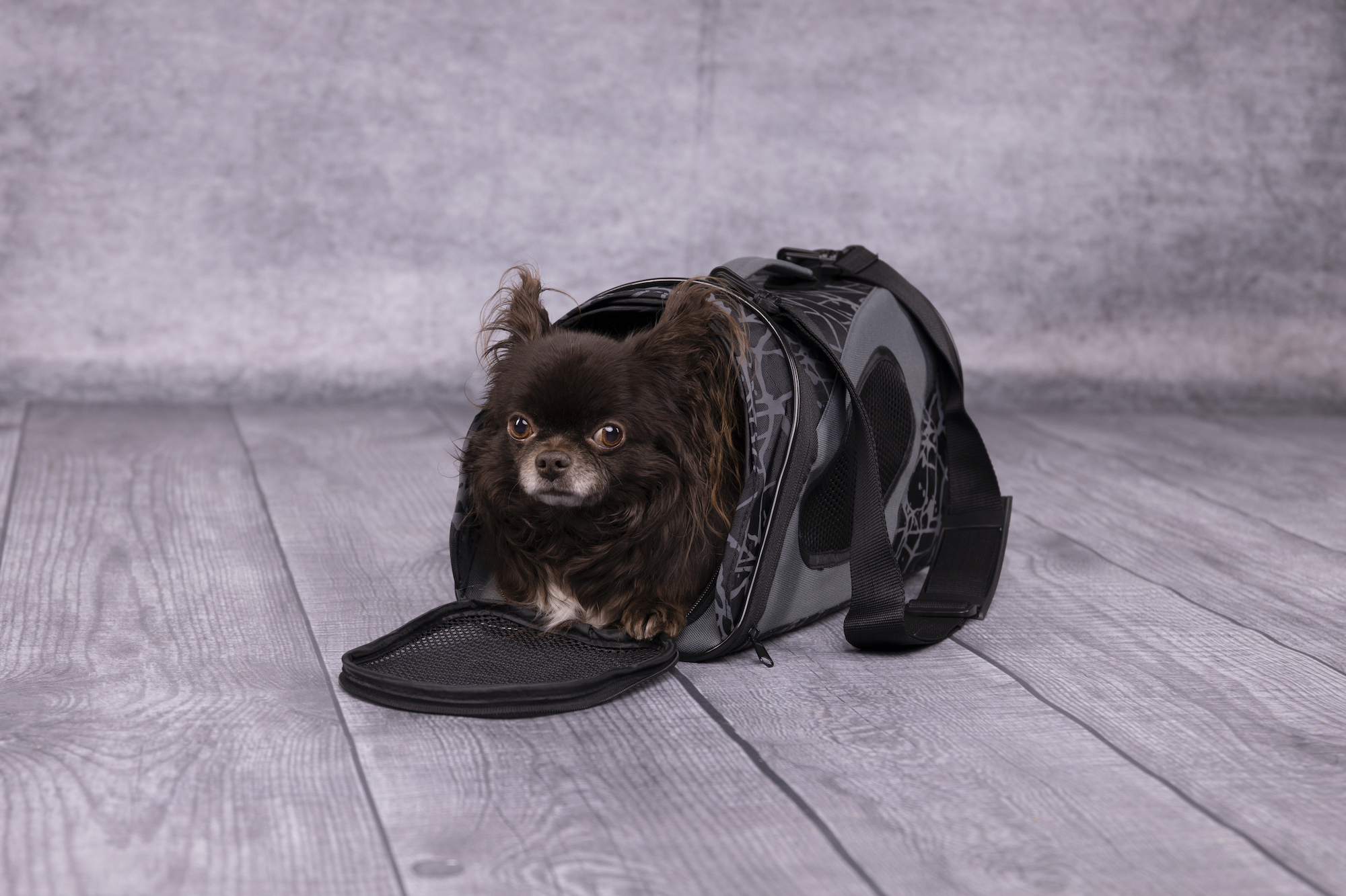 Flamingo Tragetasche Finchley Dunkelgrau