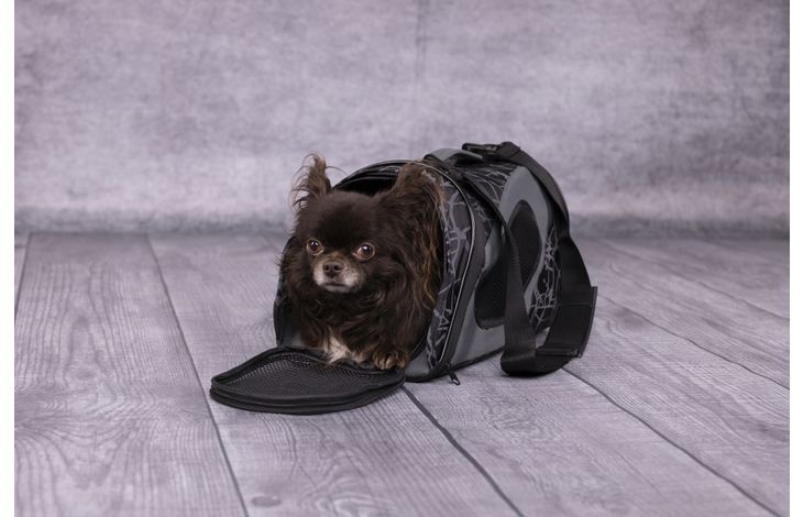 Flamingo Tragetasche Finchley Dunkelgrau