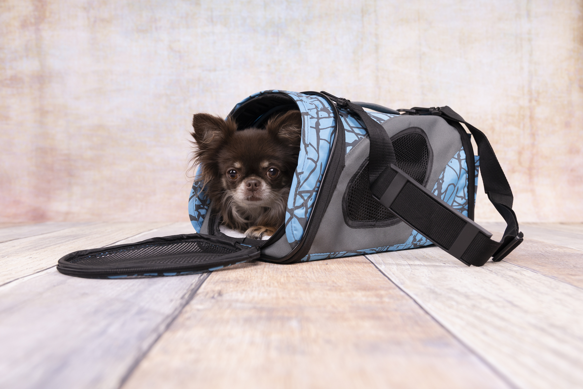 Flamingo Tragetasche Finchley Blau