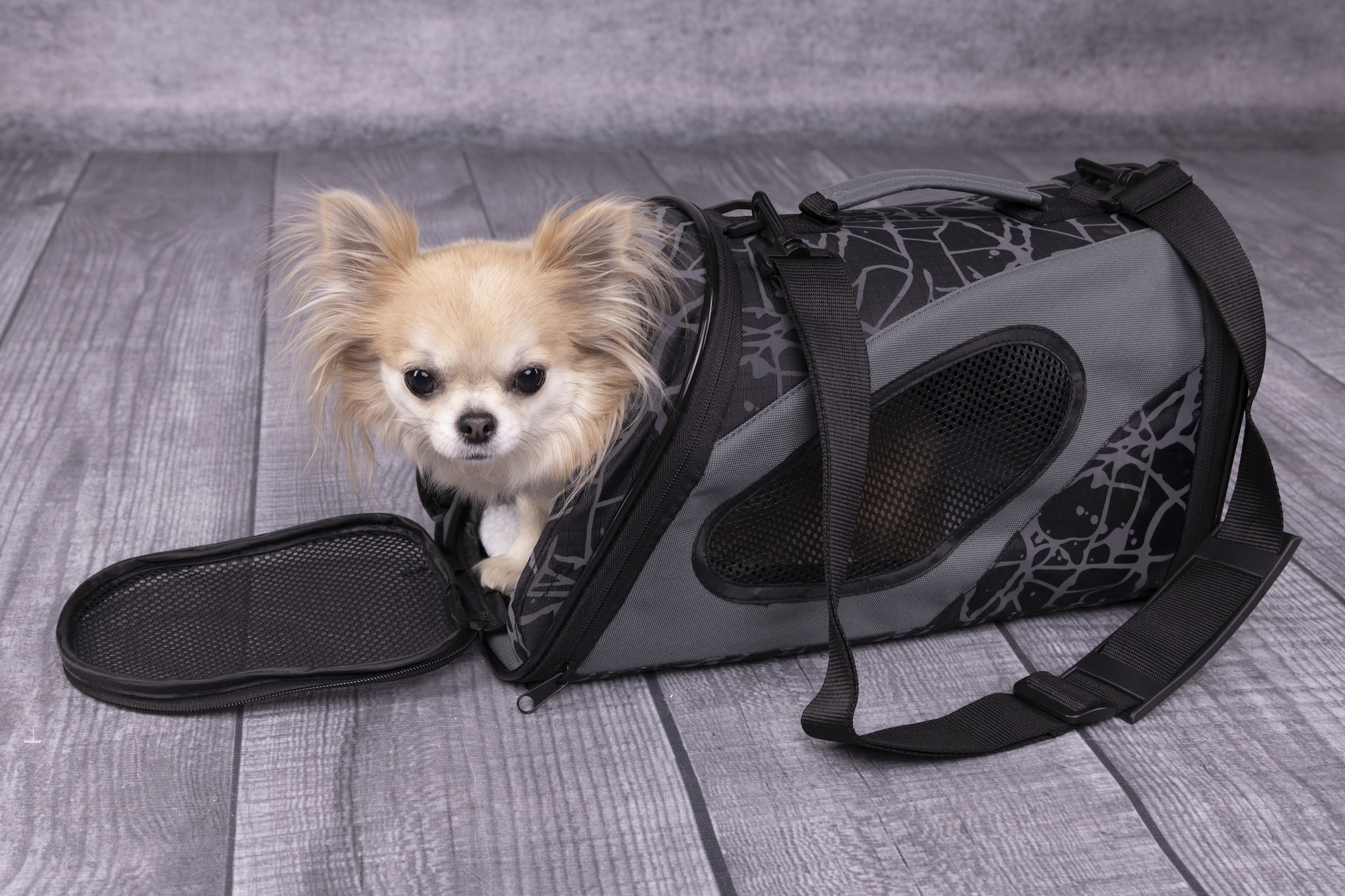 Flamingo Tragetasche Finchley Dunkelgrau