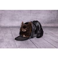 Flamingo Carrying bag Finchley Dark grey