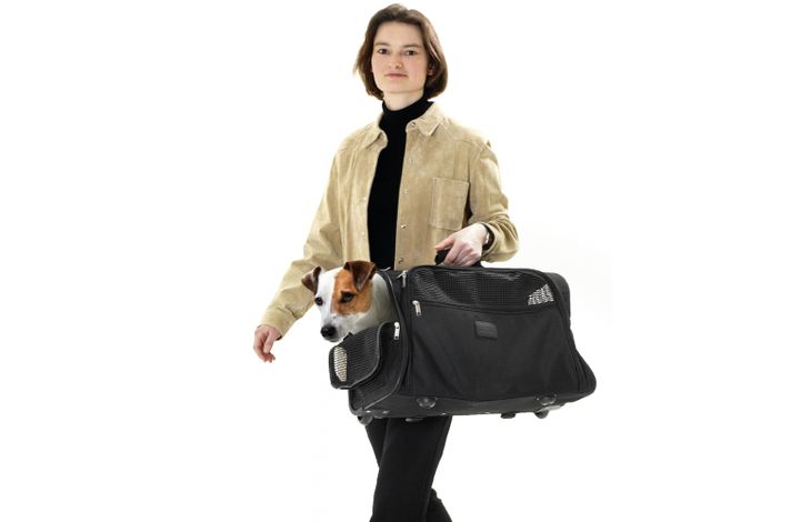 Flamingo Smart trolley Norton Donkergrijs
