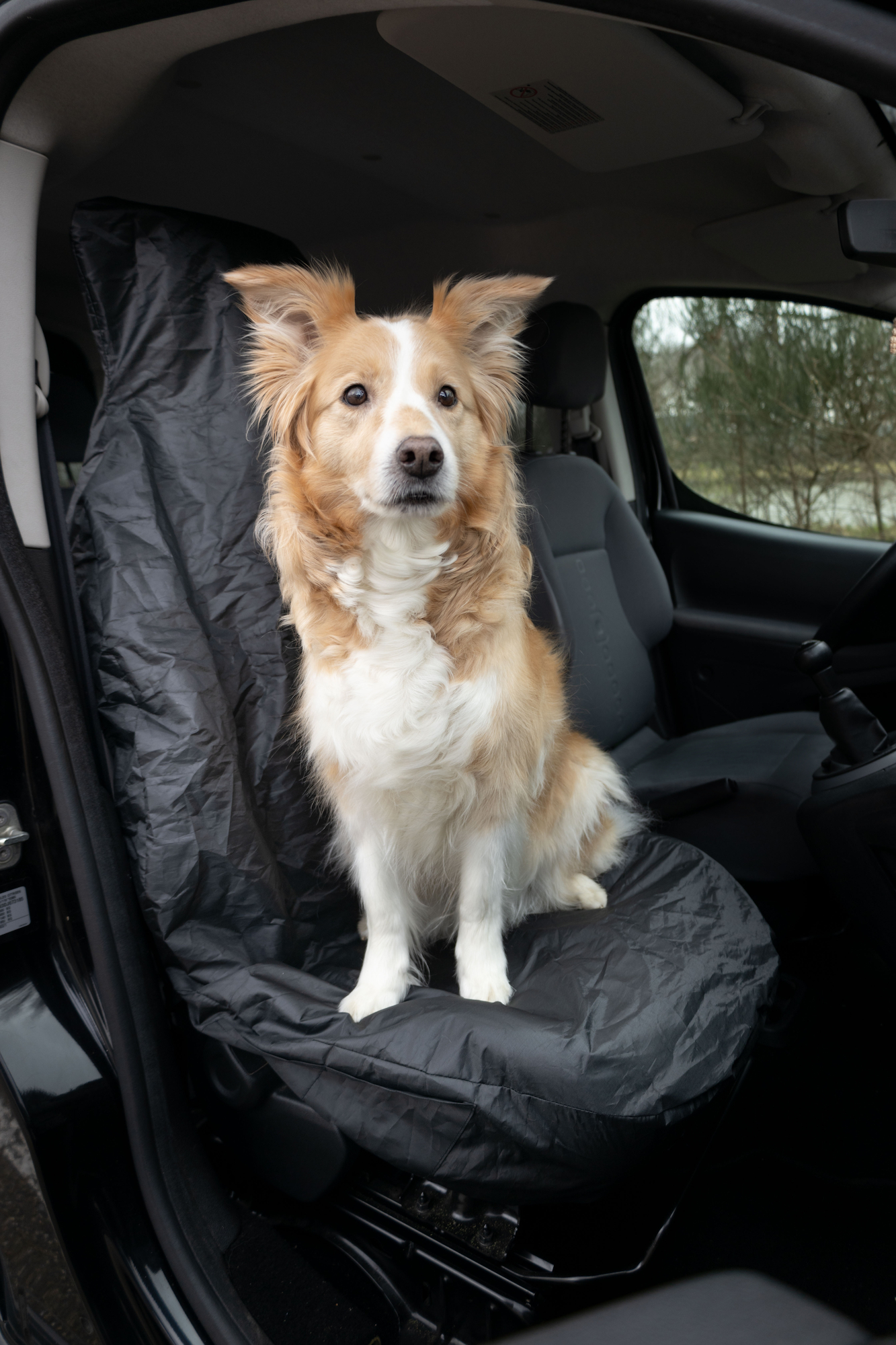 Flamingo Car seat cover Oslo with headrest attachment and elastic band Single seat Black