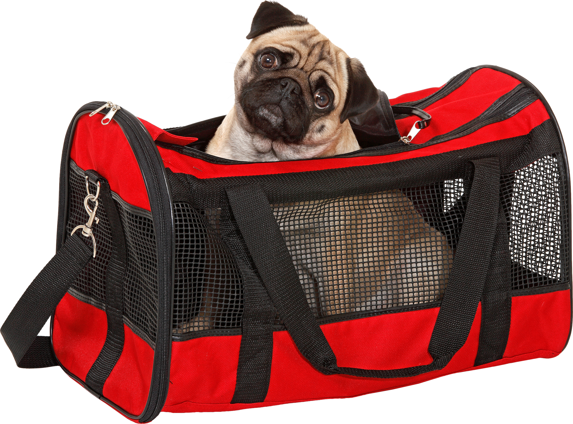 Flamingo Carrying bag Divina Red