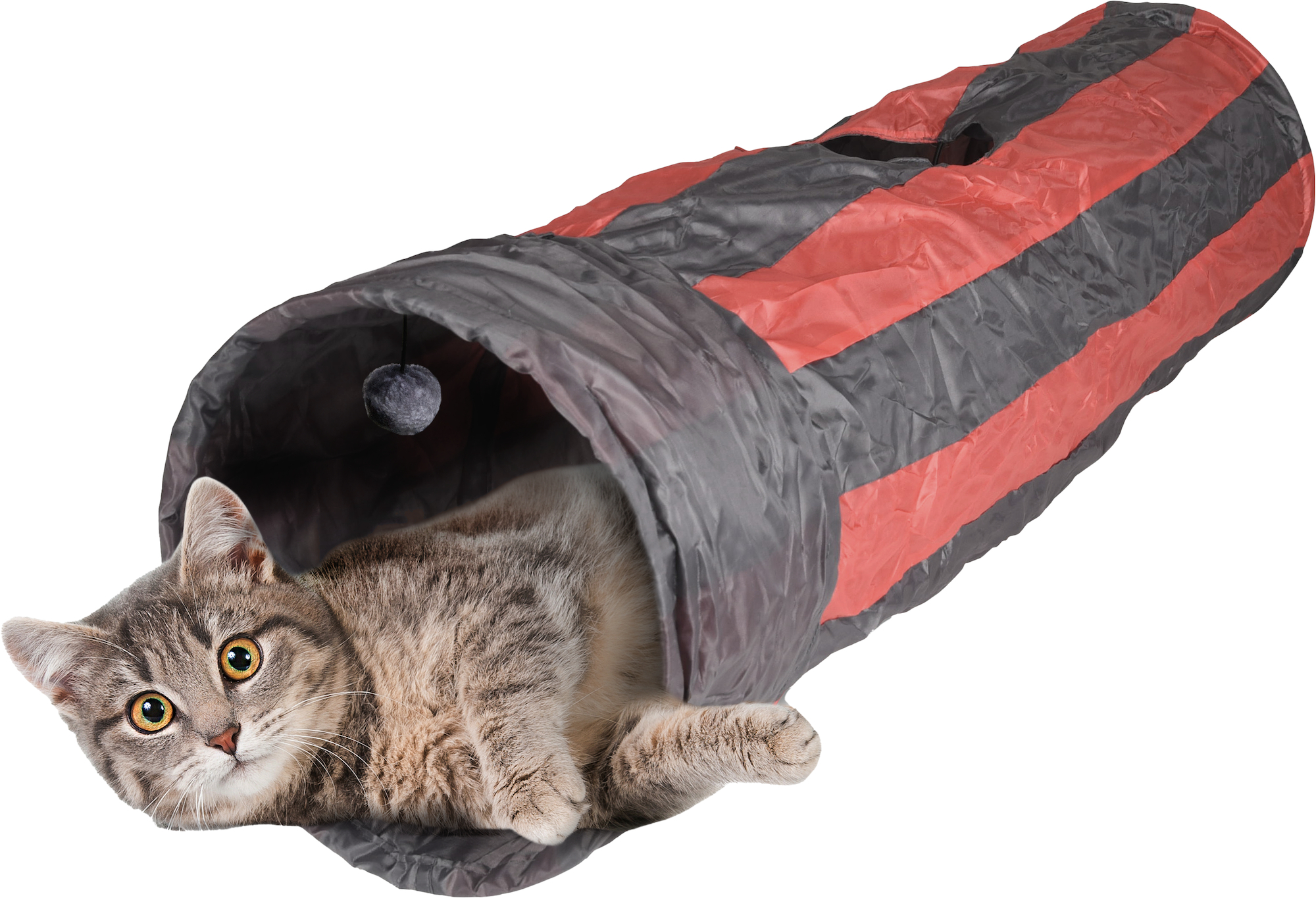 Kong cat tunnel sale