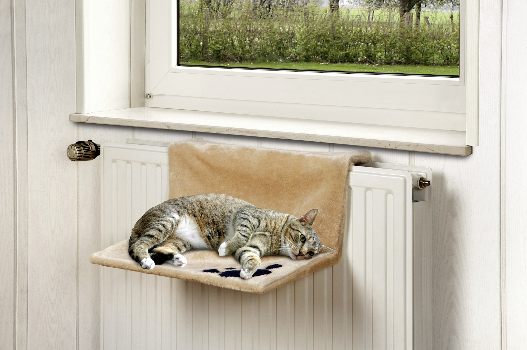 Flamingo Hammock Kitty Siesta Rectangle Beige & Black