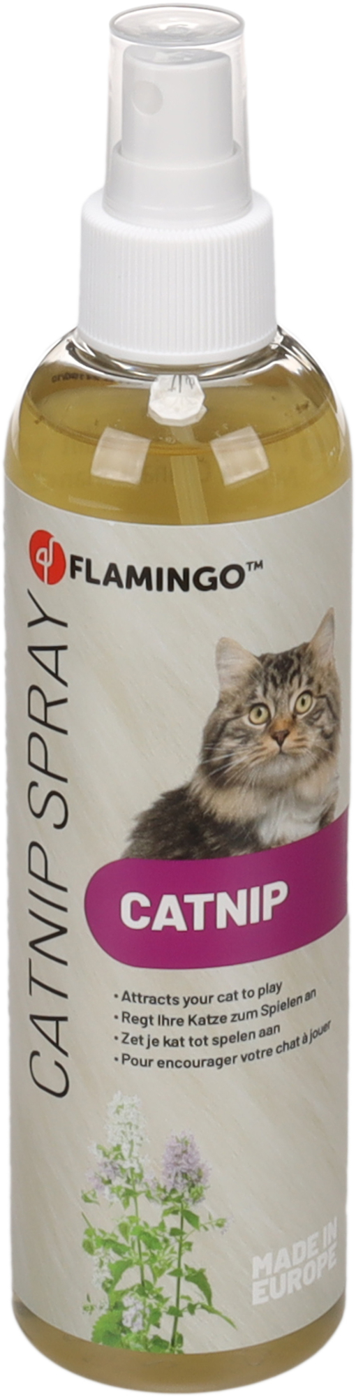 Flamingo Attractant Snif Catnip Orange
