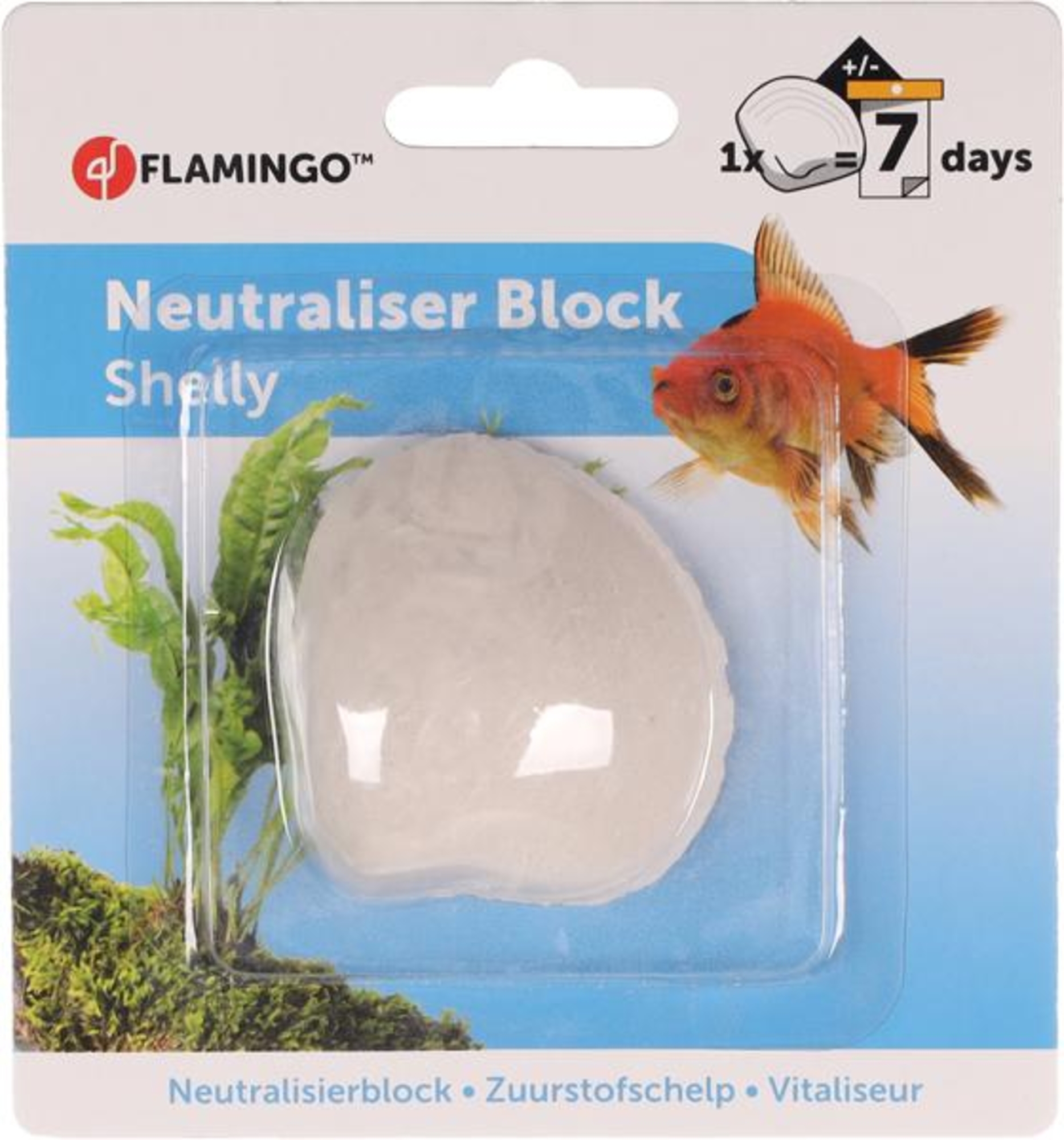 Flamingo Neutraliser block Shelly White Shell