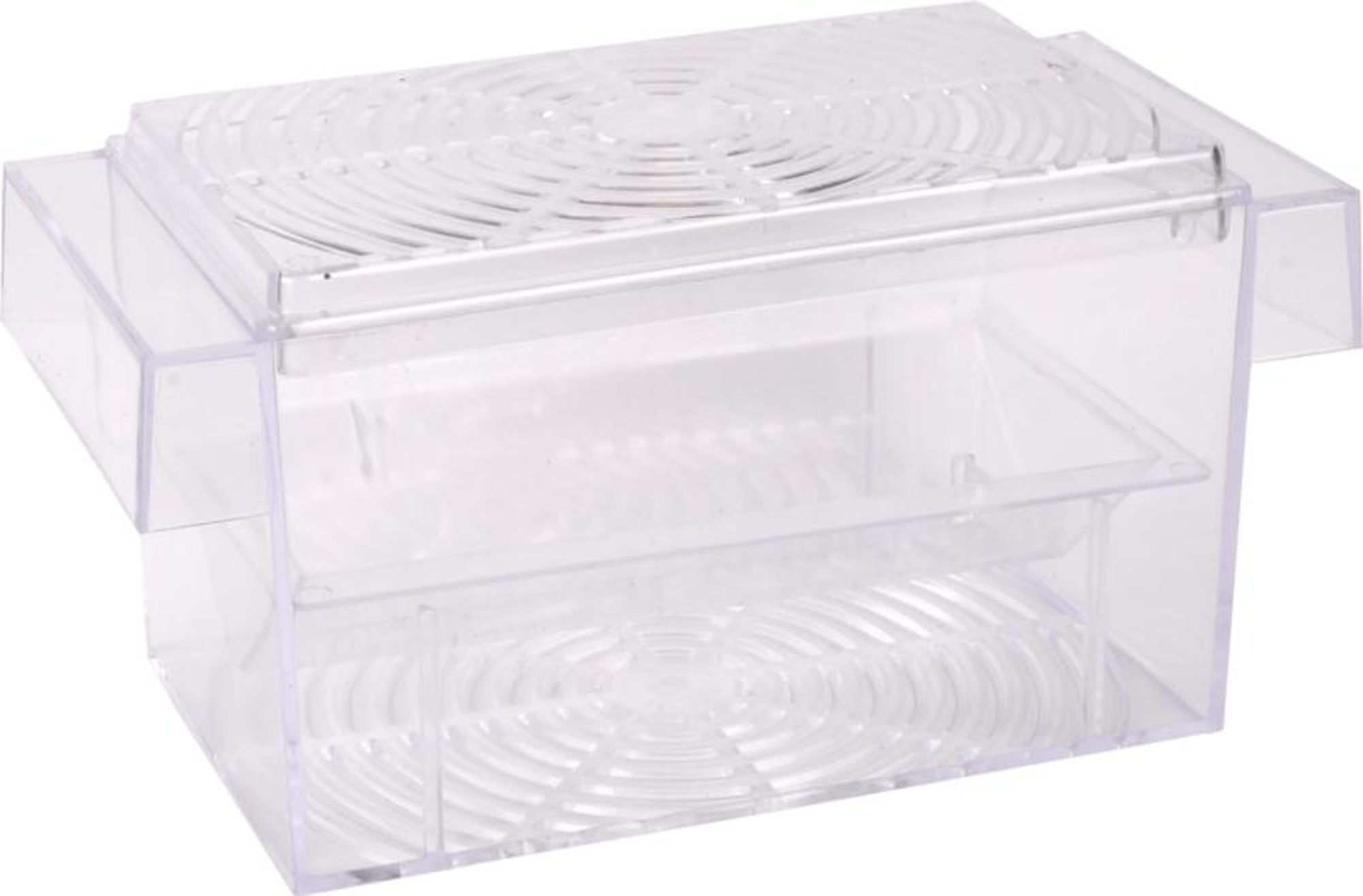 Flamingo Tanque de cría Peces de agua dolce - Plástico