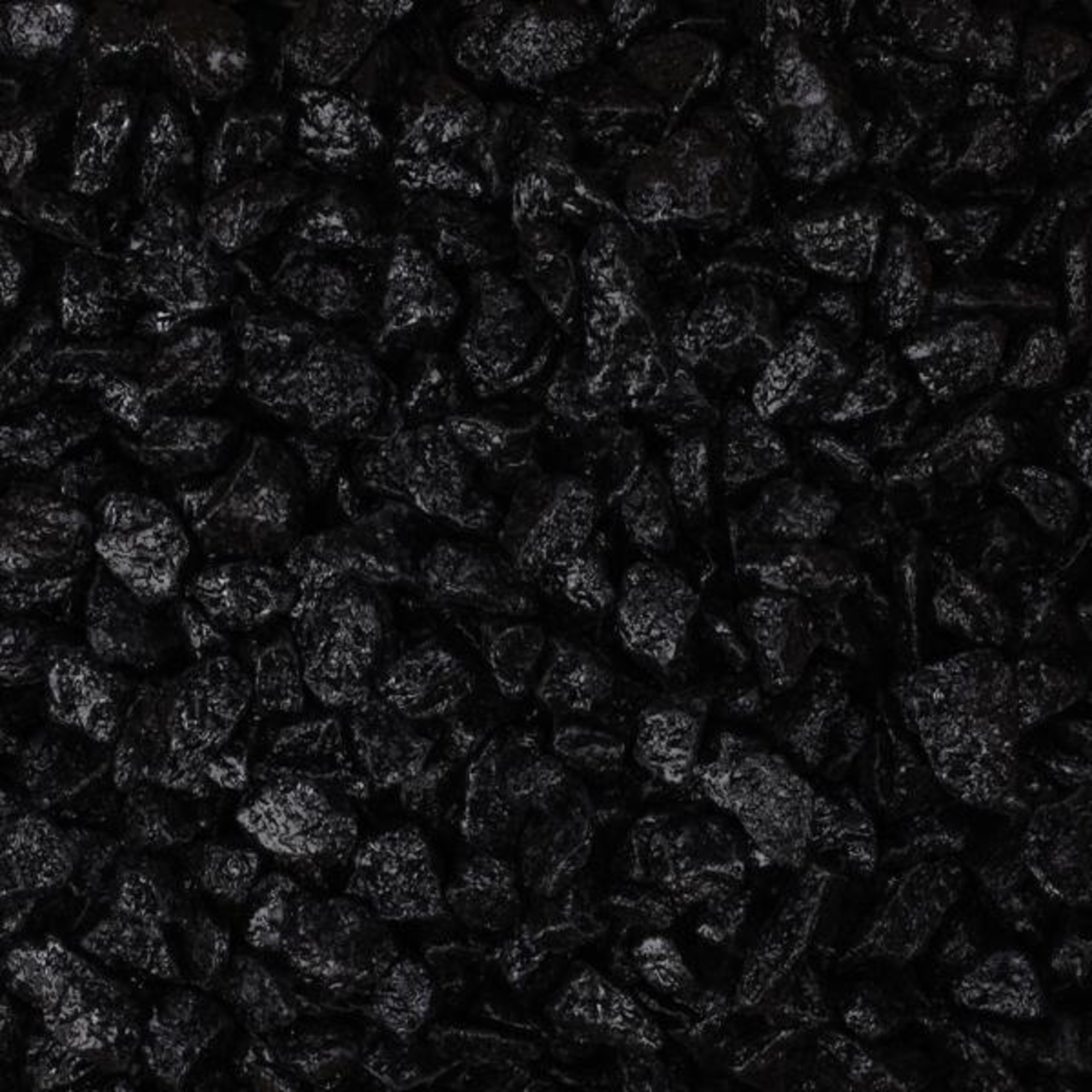 Flamingo Gravel Neon Fluo black