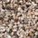 Grind Gruzo Beige