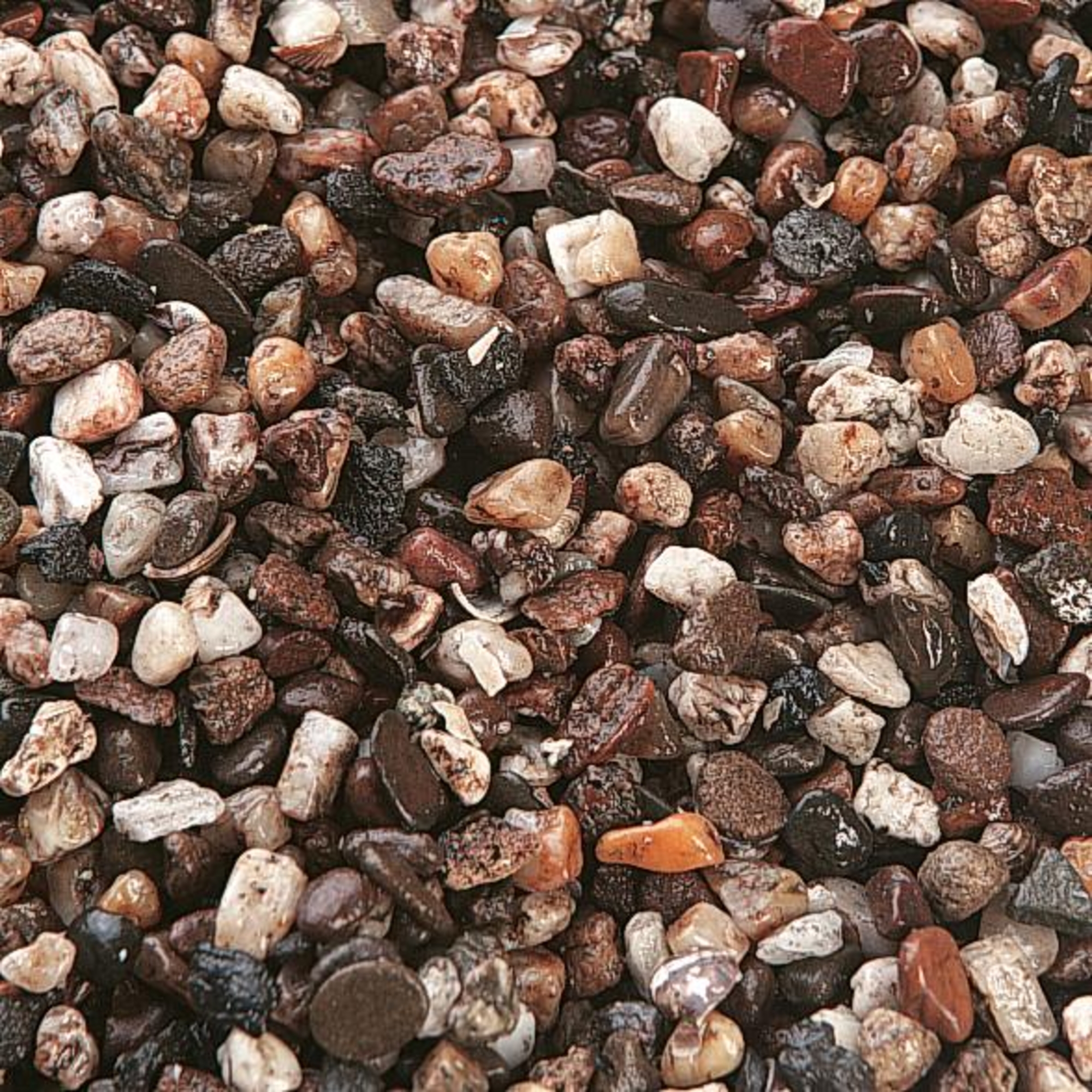 Flamingo Gravel Gruzo Brown