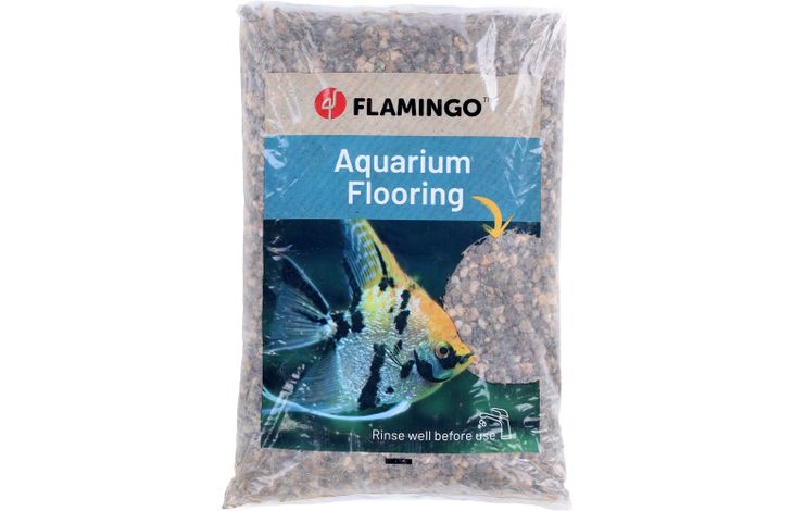 Flamingo Grind Gruzo Bruin
