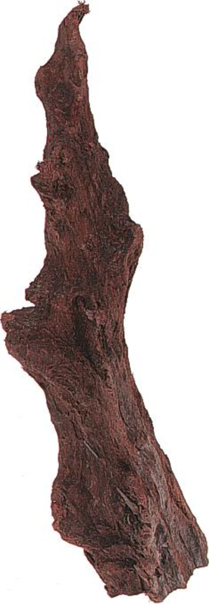 Flamingo Dekoration Driftwood Rotbraun Treibholz