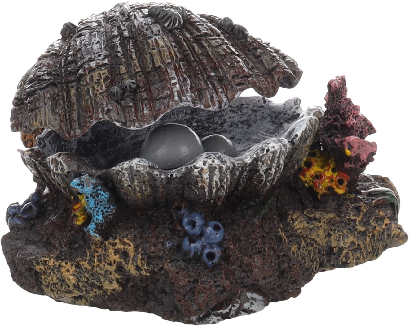 Flamingo Decoración Marrón Concha