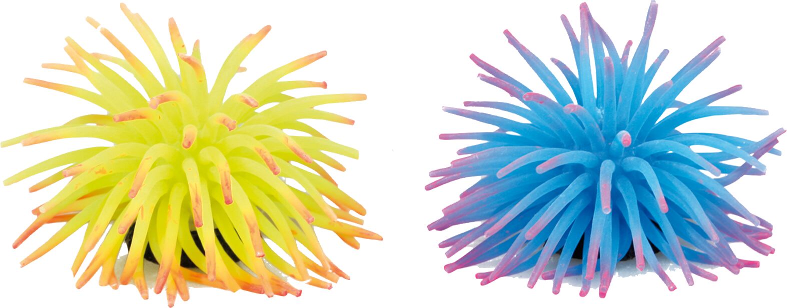 Flamingo Decoration Multiple colours Anemone