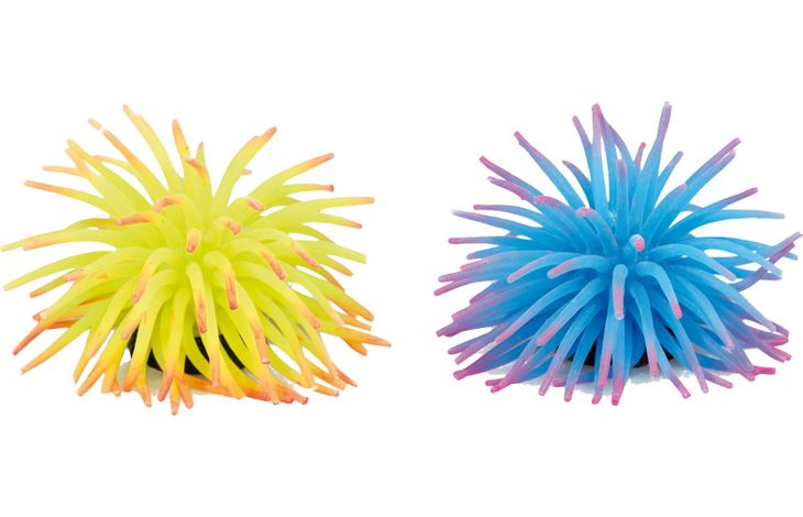 Flamingo Decoration Multiple colours Anemone