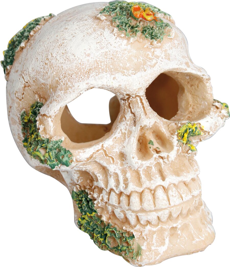 Flamingo Decoration Beige Skull