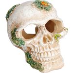 Decoration Beige Skull