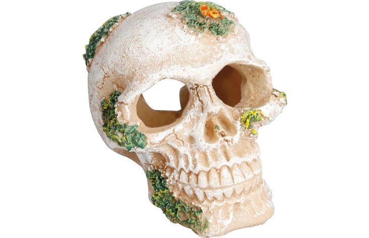 Flamingo Decoration Beige Skull