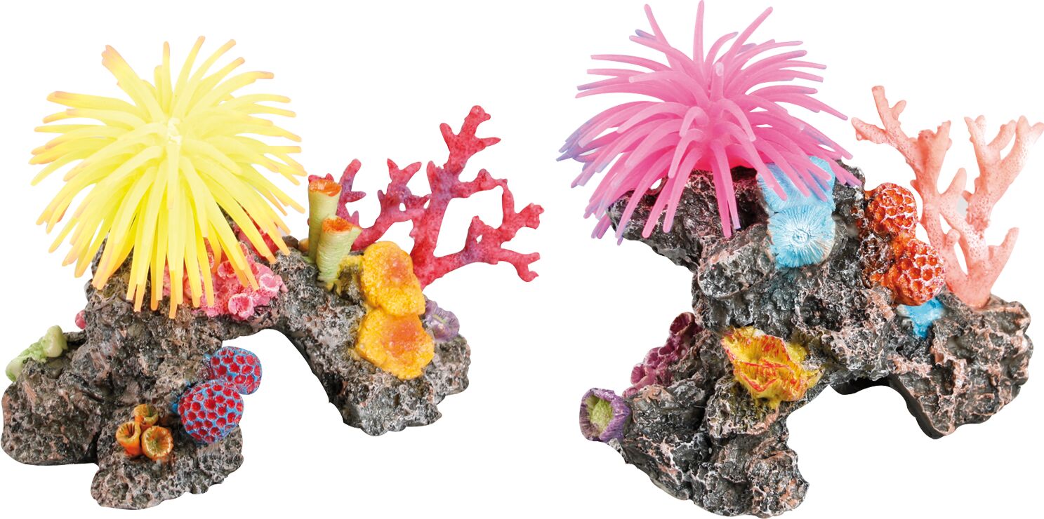 Flamingo Decoration Multiple colours Anemone