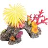Decoratie Meerdere kleuren Anemoon Anemoon Blauw, Geel, Grijs, Oranje, Paars, Roze
