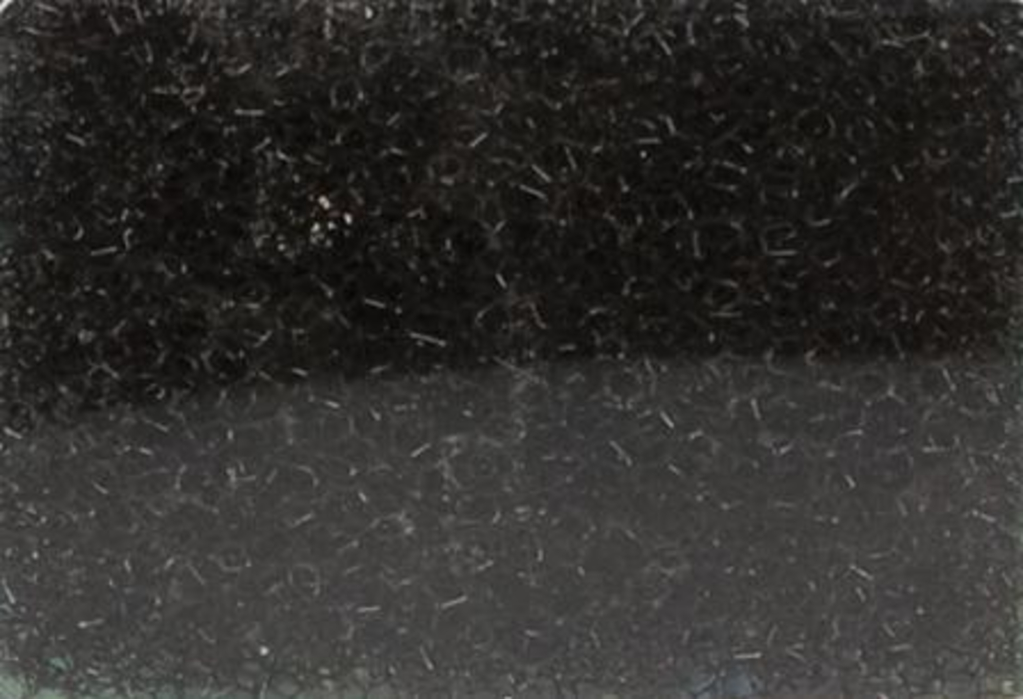 Flamingo Filter sponge Barracuda Black