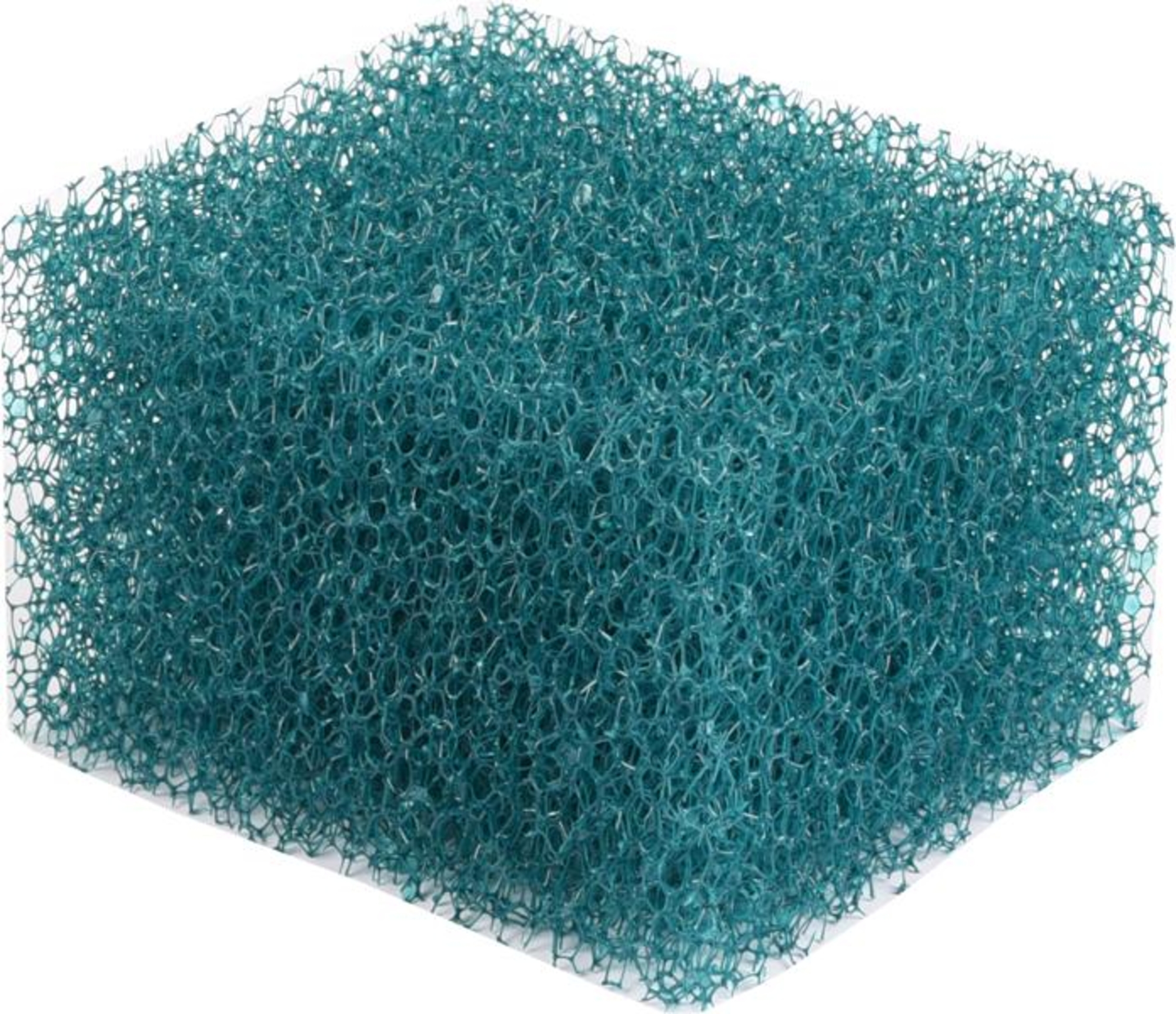 Flamingo Filter sponge Shark Green