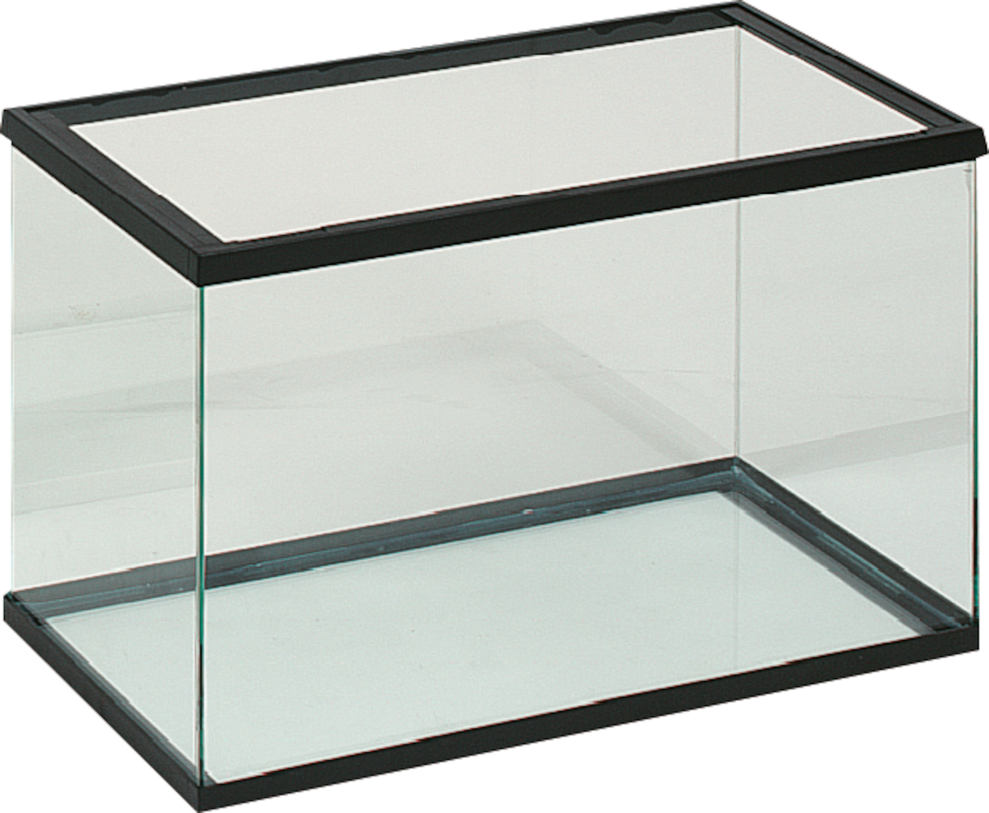 Flamingo Aquarium Full glass