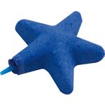  Starfish Blau Stern
