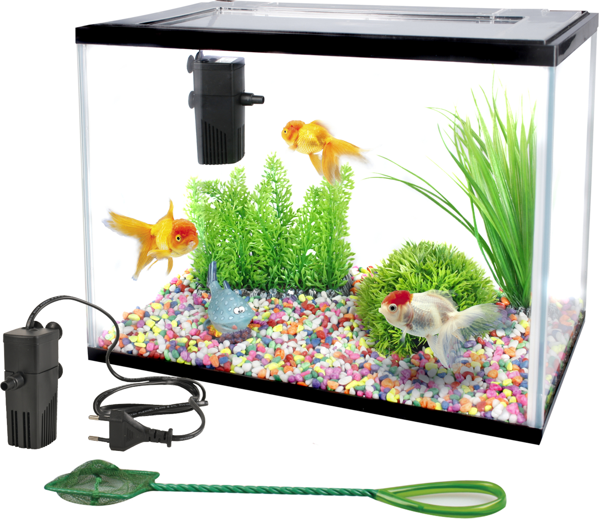 Fish tank best sale reject shop