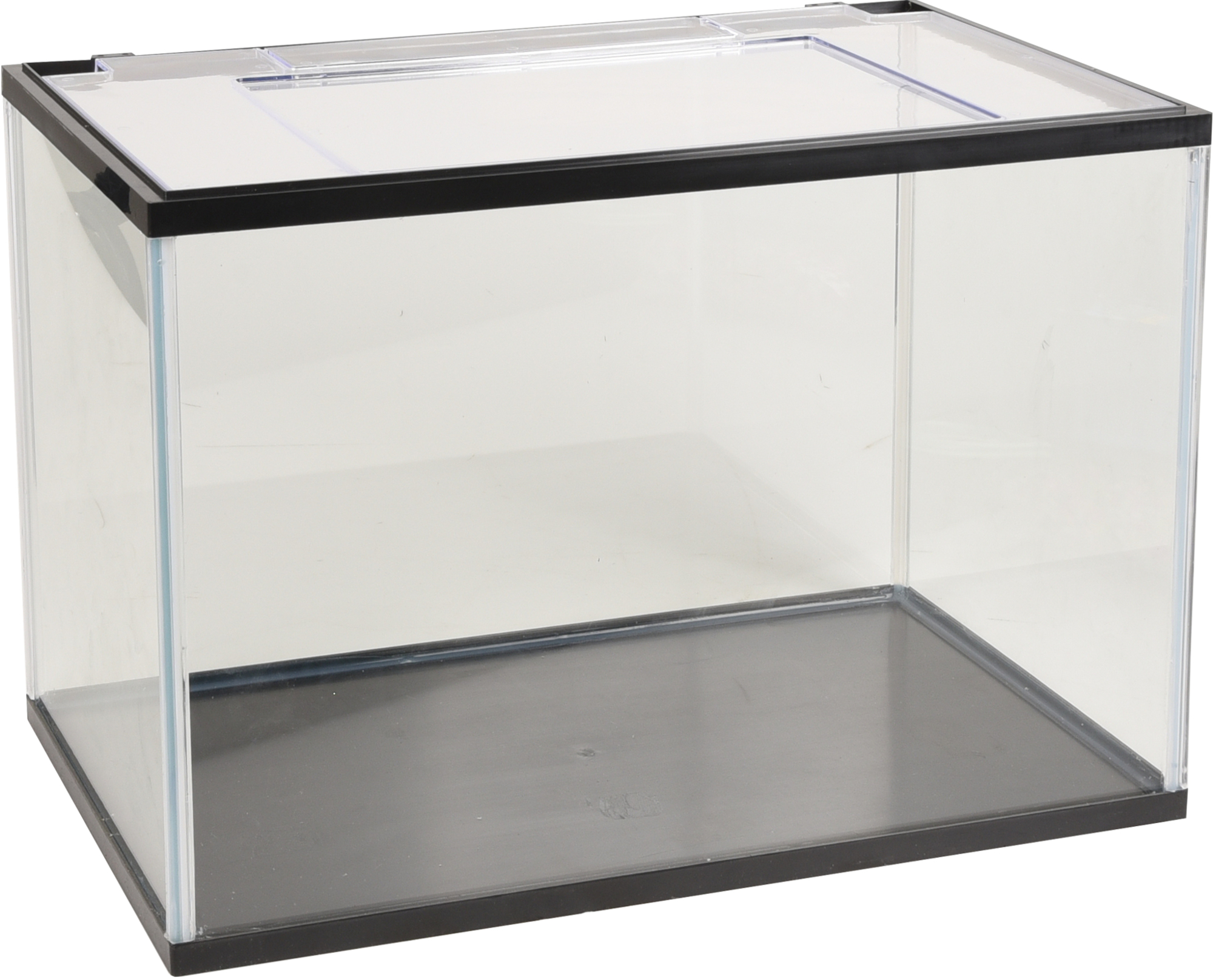 Flamingo Aquarium Lollipop