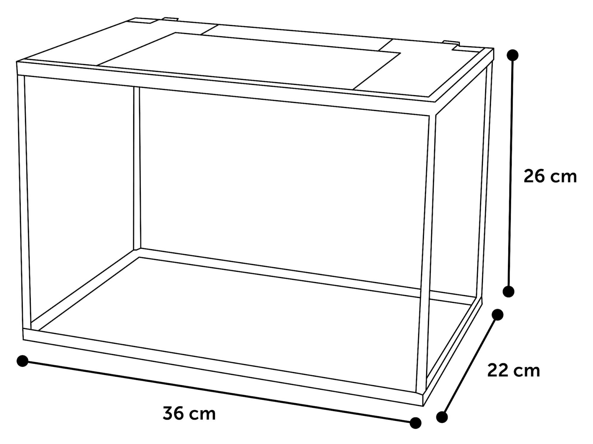 Flamingo Aquarium Lollipop