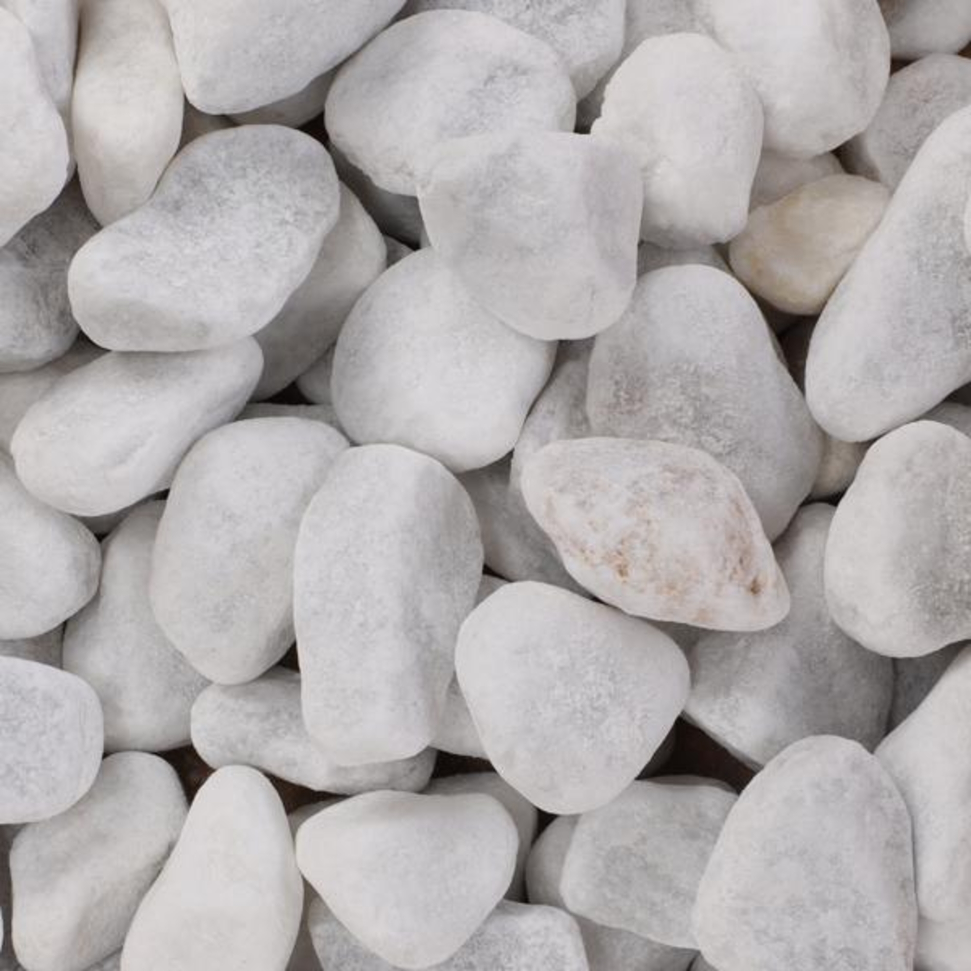 Flamingo Piedra decorativa Steno Grueso Blanco