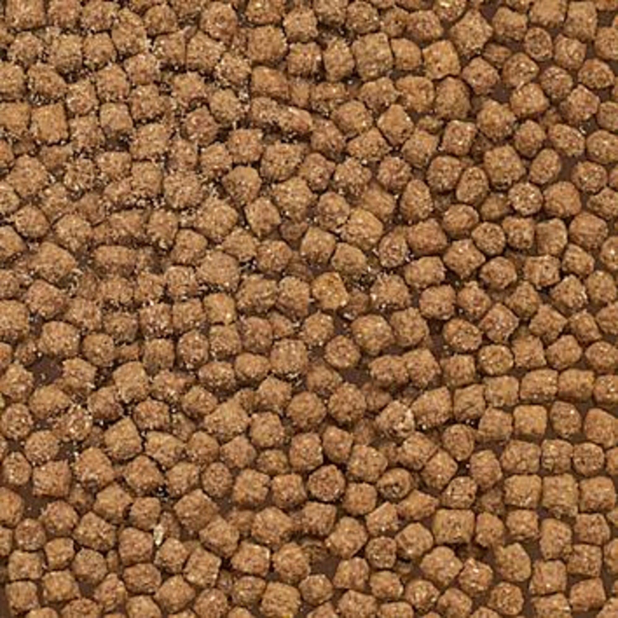 Flamingo Food Cichlids Brown