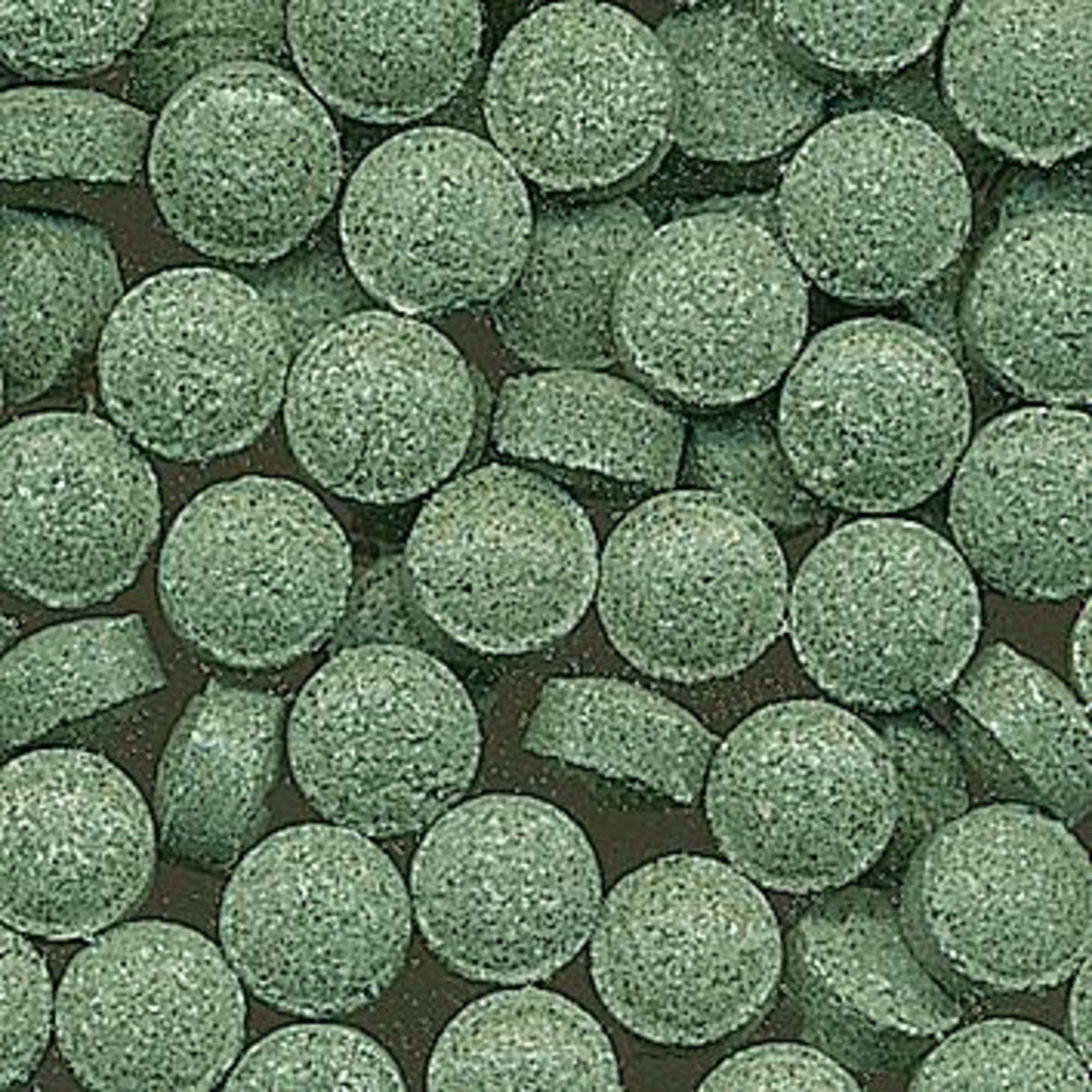 Flamingo Ernährung Bottom Grün