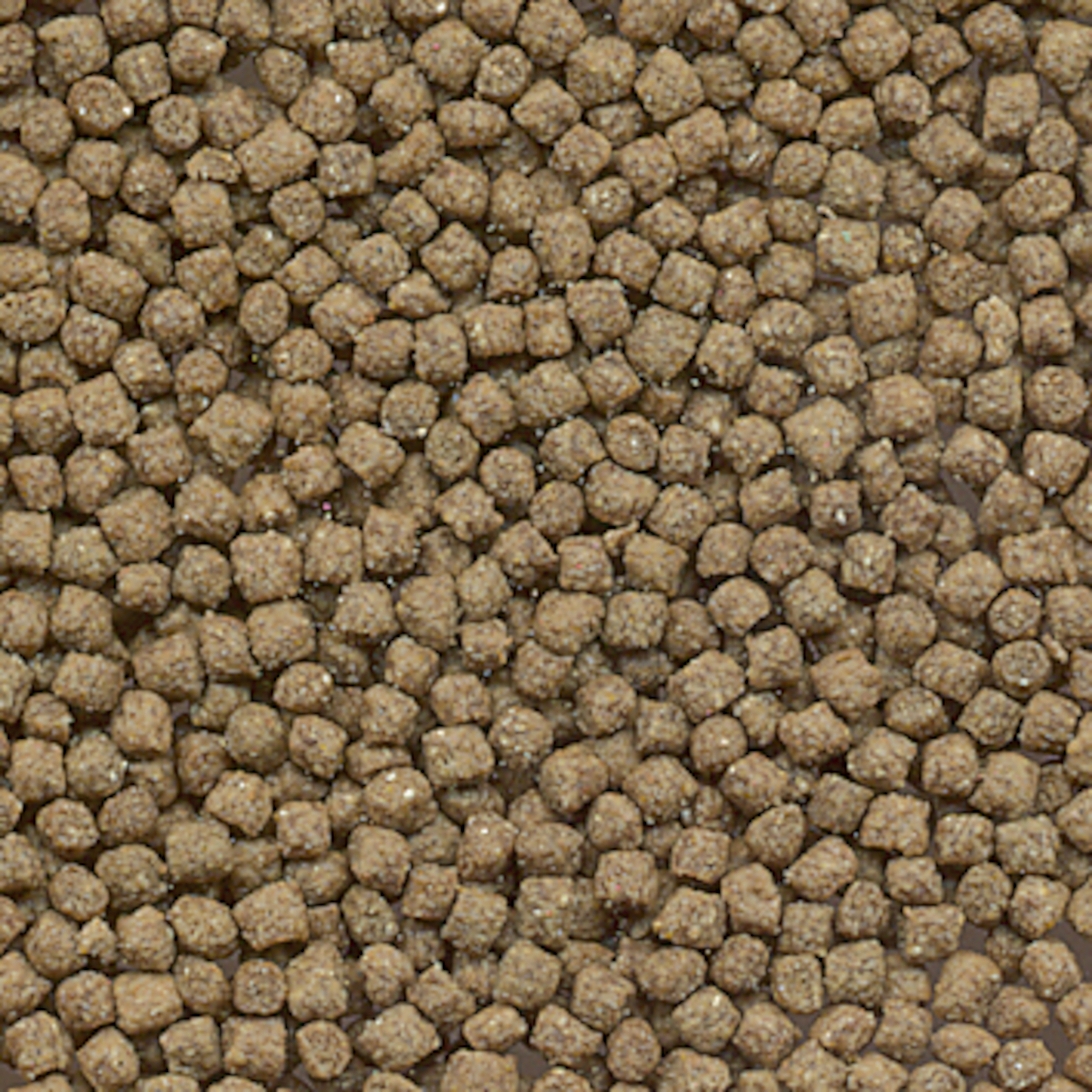 Flamingo Food Turtle Brown