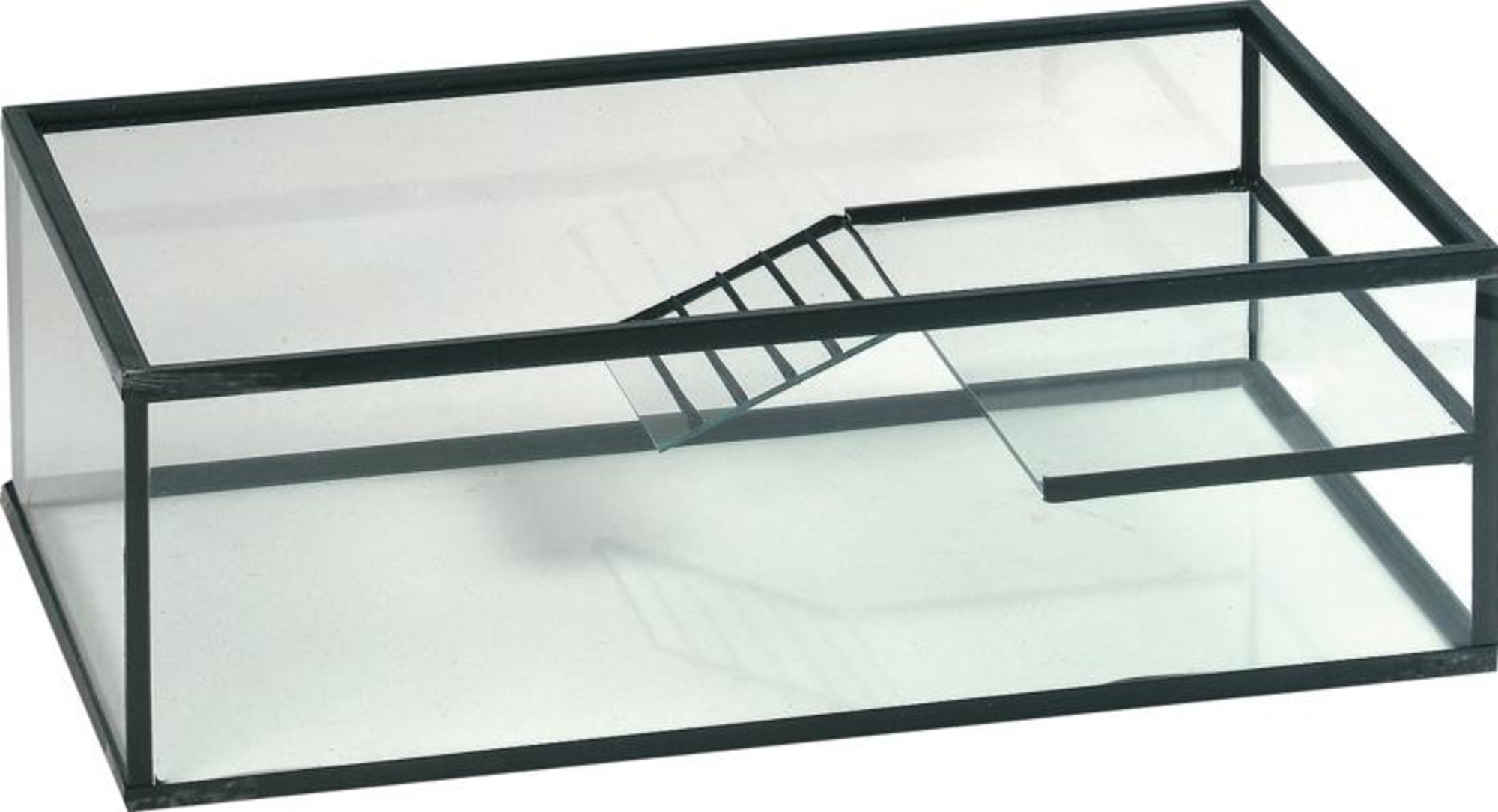 Flamingo Turtle tank Trias