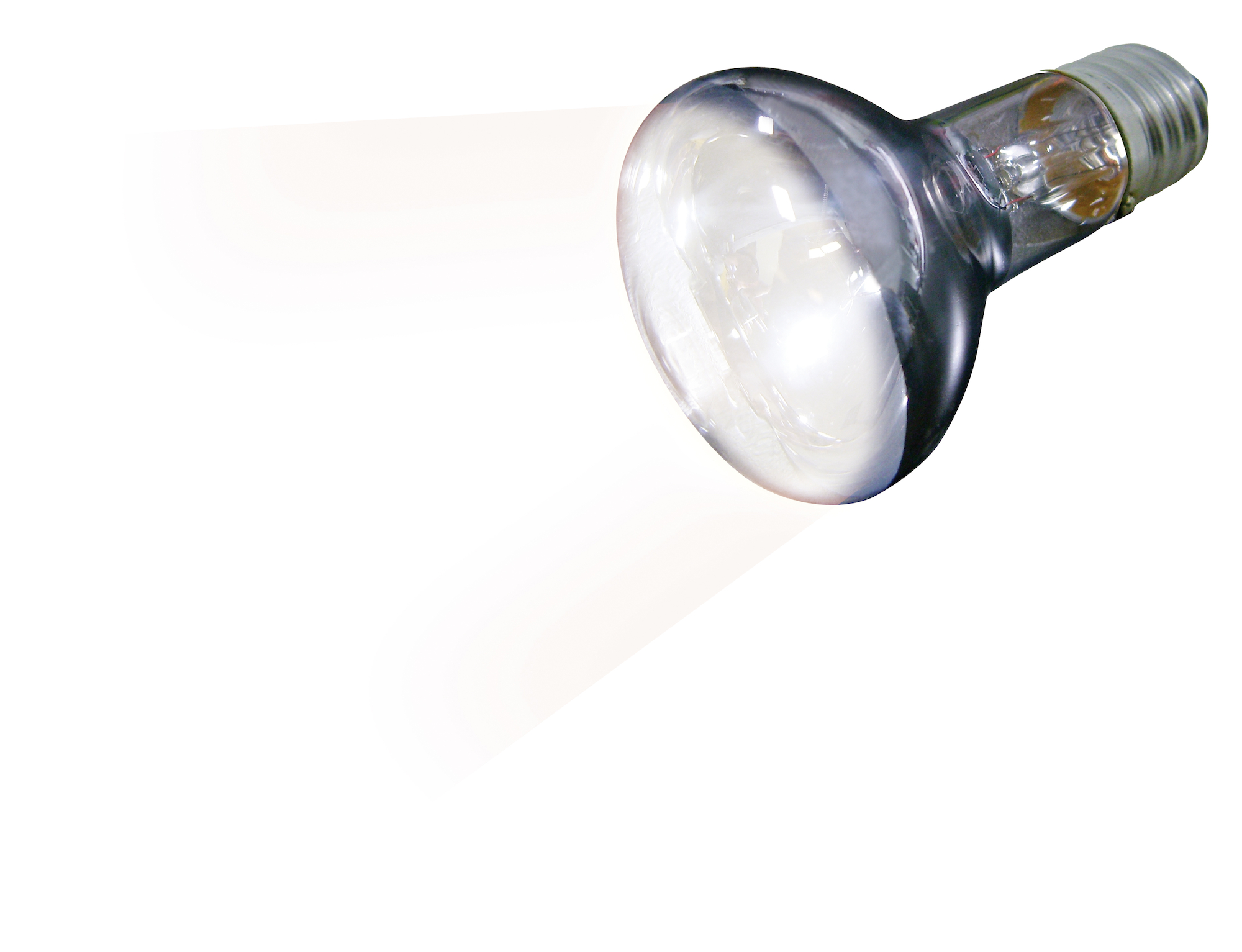 Flamingo Basking spot Voltaire Silver