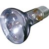 Daylight spot Joule Silver