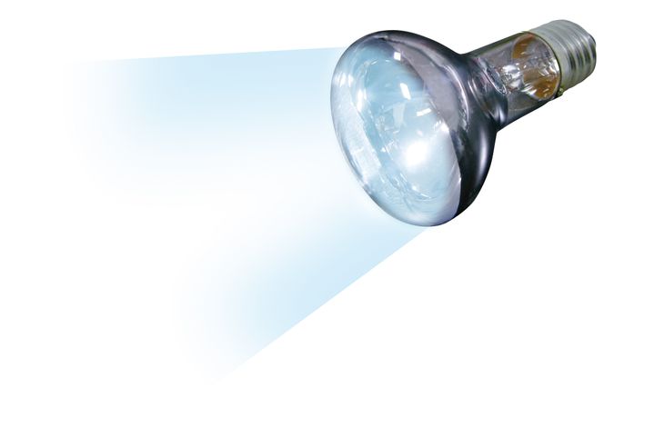Flamingo Daylight spot Joule Silver