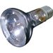 Daylight spot Joule Silver