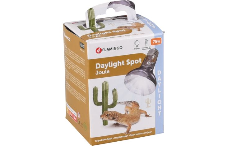 Flamingo Daylight spot Joule Silver