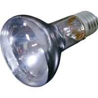 Flamingo Daglichtspot Beam Zilver
